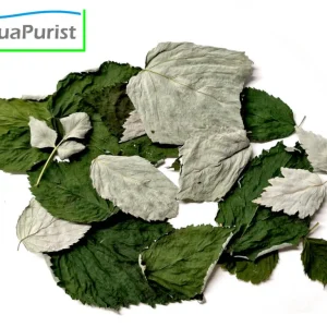 Himbeerblätter (Rubus idaeus) – 5 g